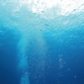 全国納豆鑑評会で優良賞を受賞した伊豆の納豆は海洋深層水を使用!!
