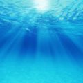 「からだにいいこと」9月号で海洋深層水の学会発表が掲載