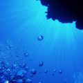 富山湾の海洋深層水で蓄養した、入善漁協の「海洋深層水アワビ」の弁当